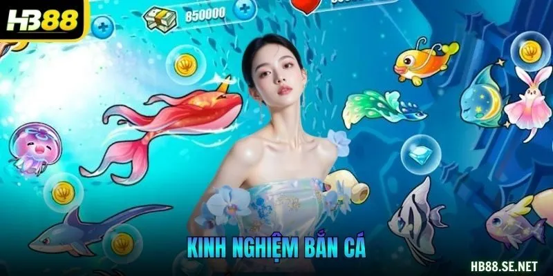 Kinh Nghiệm Bắn Cá Hiệu Quả Cho Người Mới Săn Thưởng Lớn