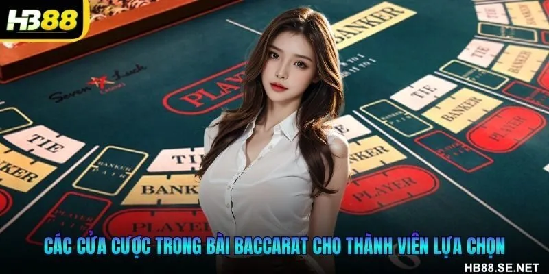 Các cửa cược trong bài Baccarat cho thành viên lựa chọn